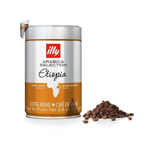 دانه قهوه اتیوپی ایلی